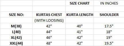 Boutique Finishing Premium Chikan Kari Kurta 2XL