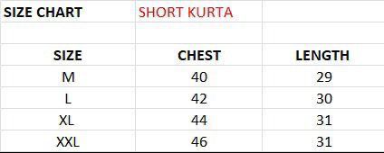 Chikan Kari Stylish Short Kurta BG