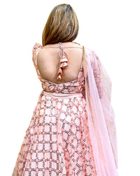 Hand Work Lehenga Choli-Baby Pink