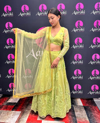 Beautiful Lehenga Choli-Parrot