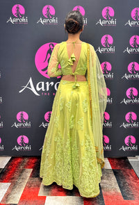 Beautiful Lehenga Choli-Parrot