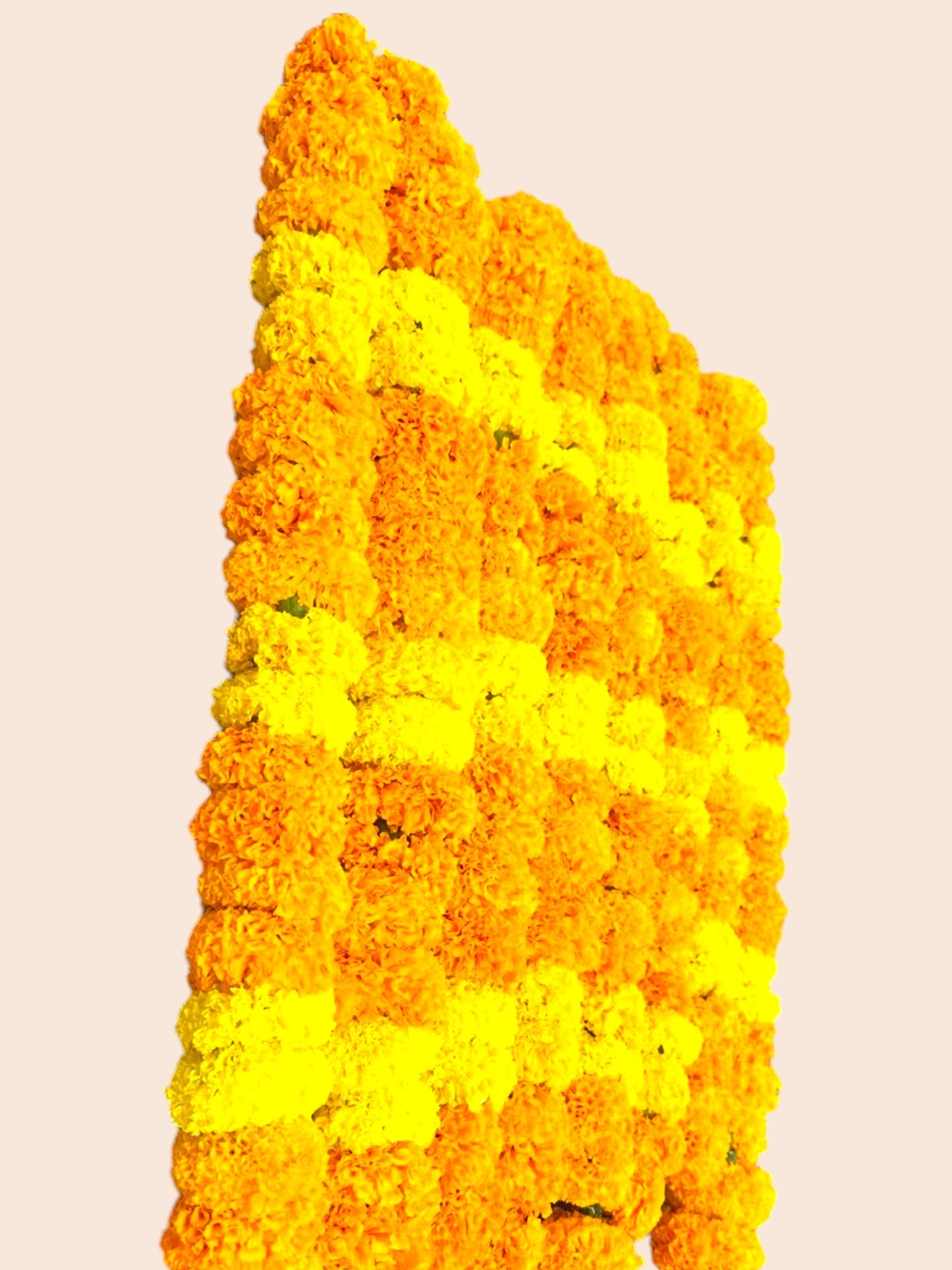 Fresh Marigold (sayapatri) Mala | Small flower Head Size