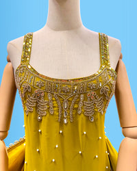 Designer Party Wear Sleeveless Palazzo Suit Parrot