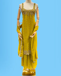 Designer Party Wear Sleeveless Palazzo Suit Parrot