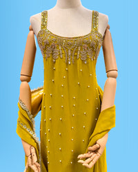 Designer Party Wear Sleeveless Palazzo Suit Parrot